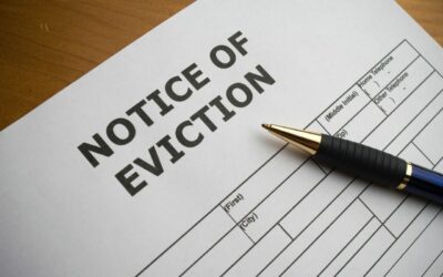 The Effect of the Eviction Ban on Mom-and-Pop Landlords in Chicago, IL